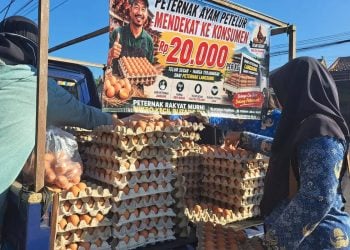 Harga telur.
