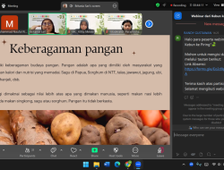 LPPM UM Kampanyekan Makanan Lokal Dorong Ketahanan Pangan, Kebun Rumah Bisa Jadi Solusi Cegah Stunting 4 BEH 1