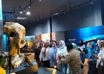 Potensi Geopark Bojonegoro yang Siap Menarik Wisatawan, Apa Saja Keunikannya? 5 Geopark Bojonegoro