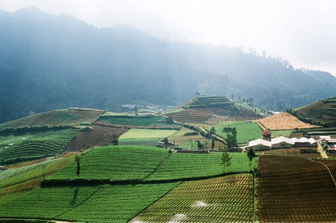 Cuaca Jawa Timur.