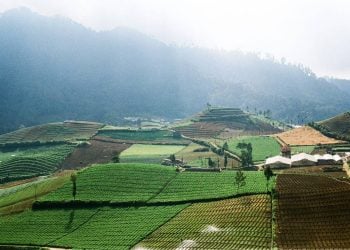 Cuaca Jawa Timur.