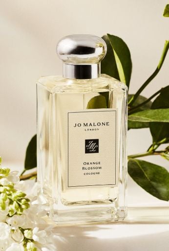 Aroma parfum terbaik 2026.