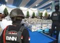 BNN