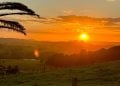 Sunset Bojonegoro