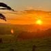 Sunset Bojonegoro