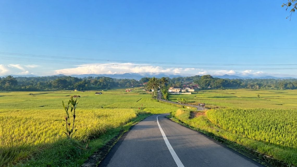 Cuaca Jawa Timur Didominasi Cerah dan Suhu Panas Menyentuh 33°C, Aktivitas Siang Hari Perlu Diwaspadai 1 Jawa Timur