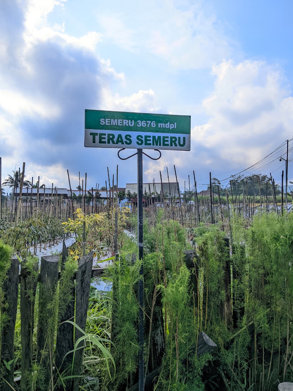 Mengenal Muhammad Syafi’i, Santri Sukses Berdayakan Warga Kampung berkat Rumah Makan Teras Semeru Lumajang yang Viral 4 Teras Semeru di Lumajang.