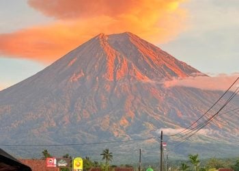 Teras Semeru.