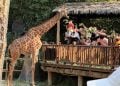 15 Tempat Wisata Dekat Surabaya yang Bisa Dicapai Kurang dari 1 Jam 6 Tempat wisata dekat Surabaya