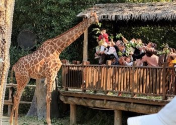 15 Tempat Wisata Dekat Surabaya yang Bisa Dicapai Kurang dari 1 Jam 8 Tempat wisata dekat Surabaya