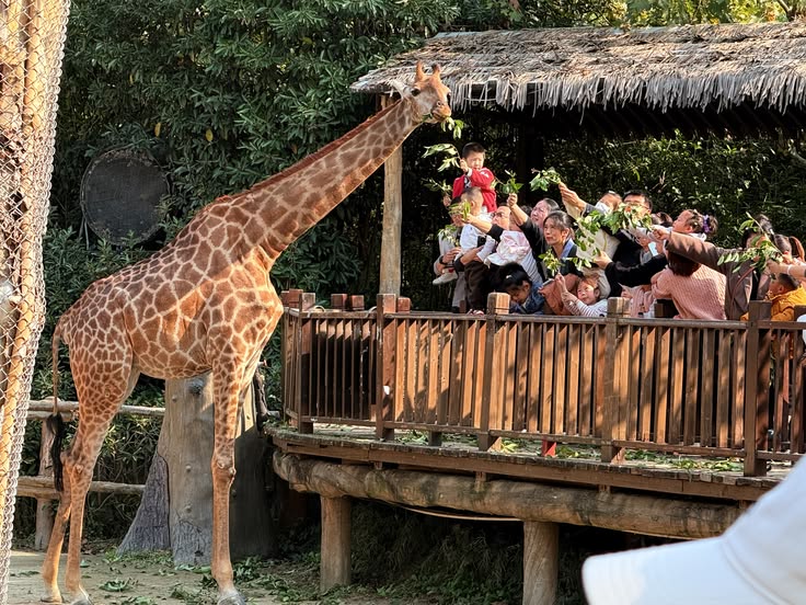 15 Tempat Wisata Dekat Surabaya yang Bisa Dicapai Kurang dari 1 Jam 1 Tempat wisata dekat Surabaya