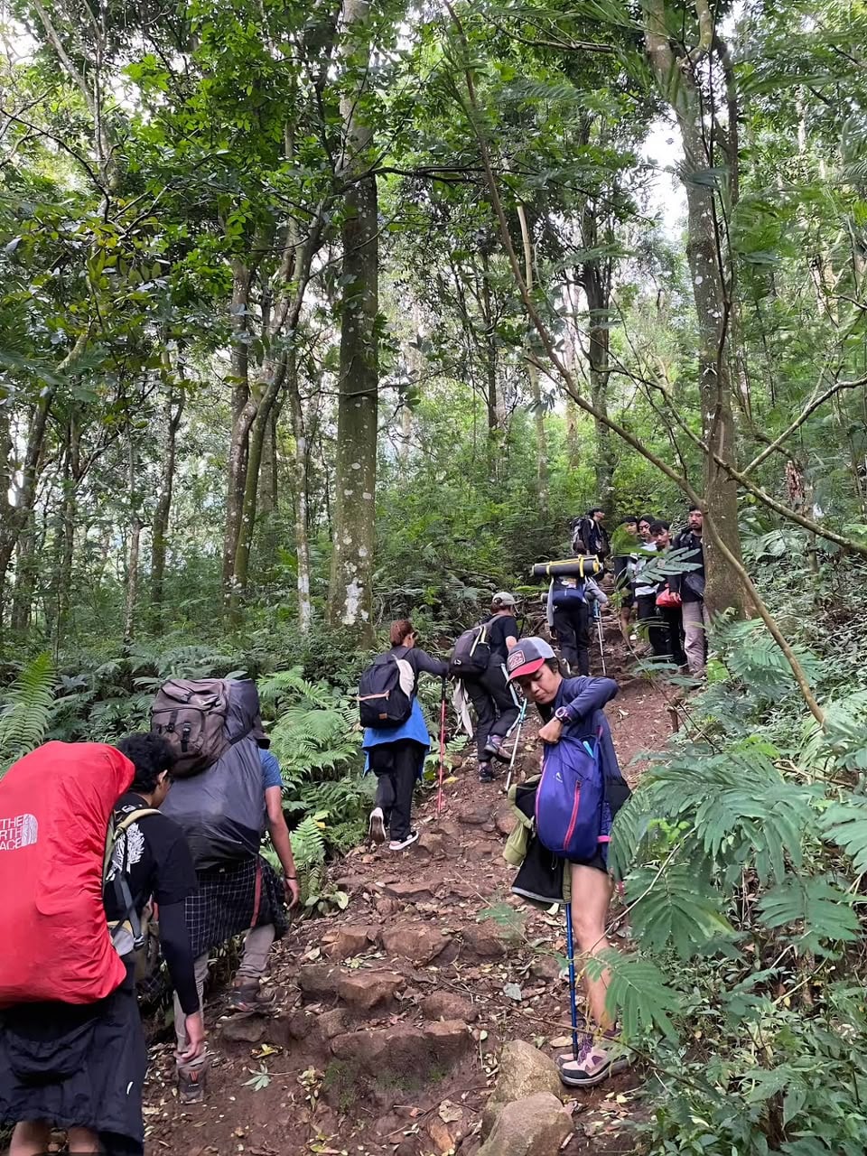 Jalur Pendakian Penanggungan Mojokerto Terbaru Lengkap dengan Tipsnya 2 Penanggungan di Mojokerto.