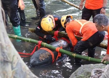 Evakuasi Dramatis Bom Udara 100 Kg di Blitar Berakhir, Polisi Pilih Langsung Disposal 4 Bom.