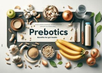 Yogurt hingga Tempe, Ini 10 Makanan dan Minuman Probiotik serta Prebiotik Terbaik Jaga Pencernaan 1 Probiotik.