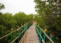 Hidden Gem Gresik yang Masih Sepi Pengunjung 4 Hidden gem Gresik.