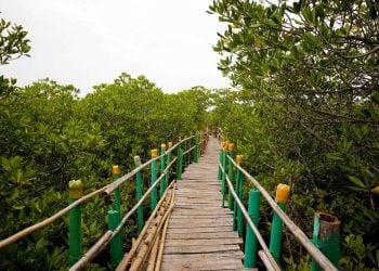 Hidden Gem Gresik yang Masih Sepi Pengunjung 6 Hidden gem Gresik.