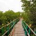 Hidden Gem Gresik yang Masih Sepi Pengunjung 9 Hidden gem Gresik.