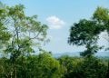 Berawan Dominasi Cuaca di Jawa Timur 11 Juli 2026, Suhu Tinggi di Sejumlah Wilayah Masih Jadi Perhatian 3 Cuaca di Jawa Timur.