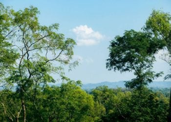 Berawan Dominasi Cuaca di Jawa Timur 11 Juli 2026, Suhu Tinggi di Sejumlah Wilayah Masih Jadi Perhatian 8 Cuaca di Jawa Timur.