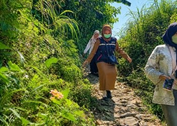 Jemput Bola ke Wilayah Terpencil, Puskesmas Jelbuk Jember Layani Pasien Kronis dan Disabilitas 6 Puskesmas Jelbuk.