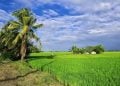 Kabut Tebal dan Udara Kabur Kepung Jawa Timur, Kontras Cuaca Cerah di Madura Picu Sorotan 3 Jawa Timur
