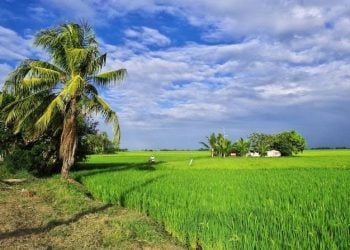 Kabut Tebal dan Udara Kabur Kepung Jawa Timur, Kontras Cuaca Cerah di Madura Picu Sorotan 5 Jawa Timur