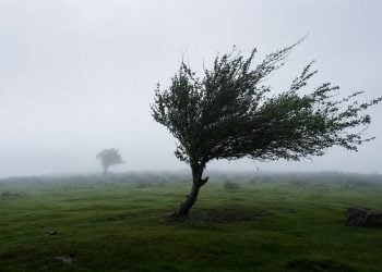 Kabut, Udara Kabur, dan Cerah Gantian Dominasi Cuaca di Jawa Timur, BMKG Peringatkan Ancaman Angin Kencang 7 Cuaca di Jawa Timur.
