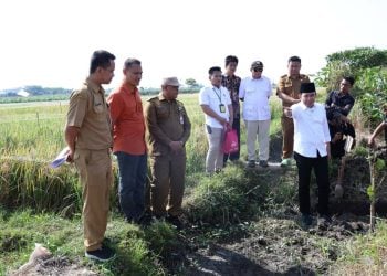 Pemkab Jember Genjot Perbaikan Irigasi dan Optimalisasi 7.070 Hektare Lahan Pertanian 6 Pemkab Jember.