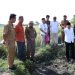 Pemkab Jember.