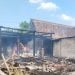 Rumah dan Kandang di Bancar Tuban Terbakar, Dua Ekor Kambing Mati Terpanggang 8 Rumah