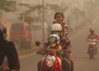 Kabut Pekat vs Langit Cerah Cuaca di Jawa Timur 16 Juli 2026, BMKG Ingatkan Ancaman Angin Kencang 5 Cuaca di Jawa Timur.