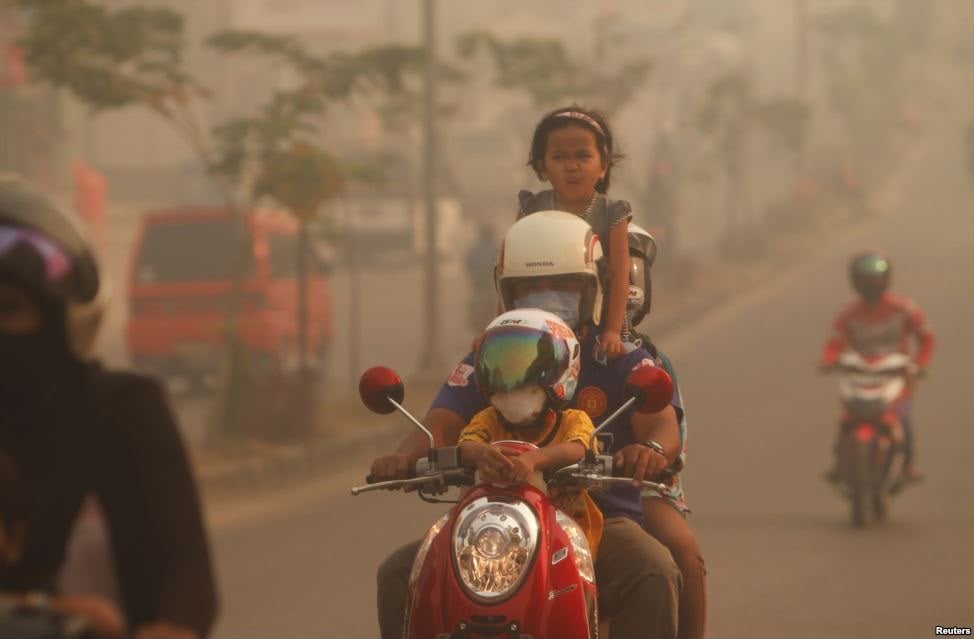 Kabut Pekat vs Langit Cerah Cuaca di Jawa Timur 16 Juli 2026, BMKG Ingatkan Ancaman Angin Kencang 1 Cuaca di Jawa Timur.