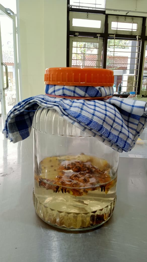 LPPM UM Gelar Pelatihan Pembuatan Tepache, Mahasiswa Belajar Olah Limbah Kulit Nanas Jadi Minuman Fungsional 5 LPPM UM pelatihan.