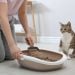 Kucing Tiba-Tiba Buang Air Sembarangan? Ini 8 Hal yang Bisa Menjadi Penyebabnya 8 Kucing