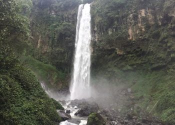 12 Tempat Wisata Jombang yang Cocok untuk Liburan Murah 5 Wisata Jombang