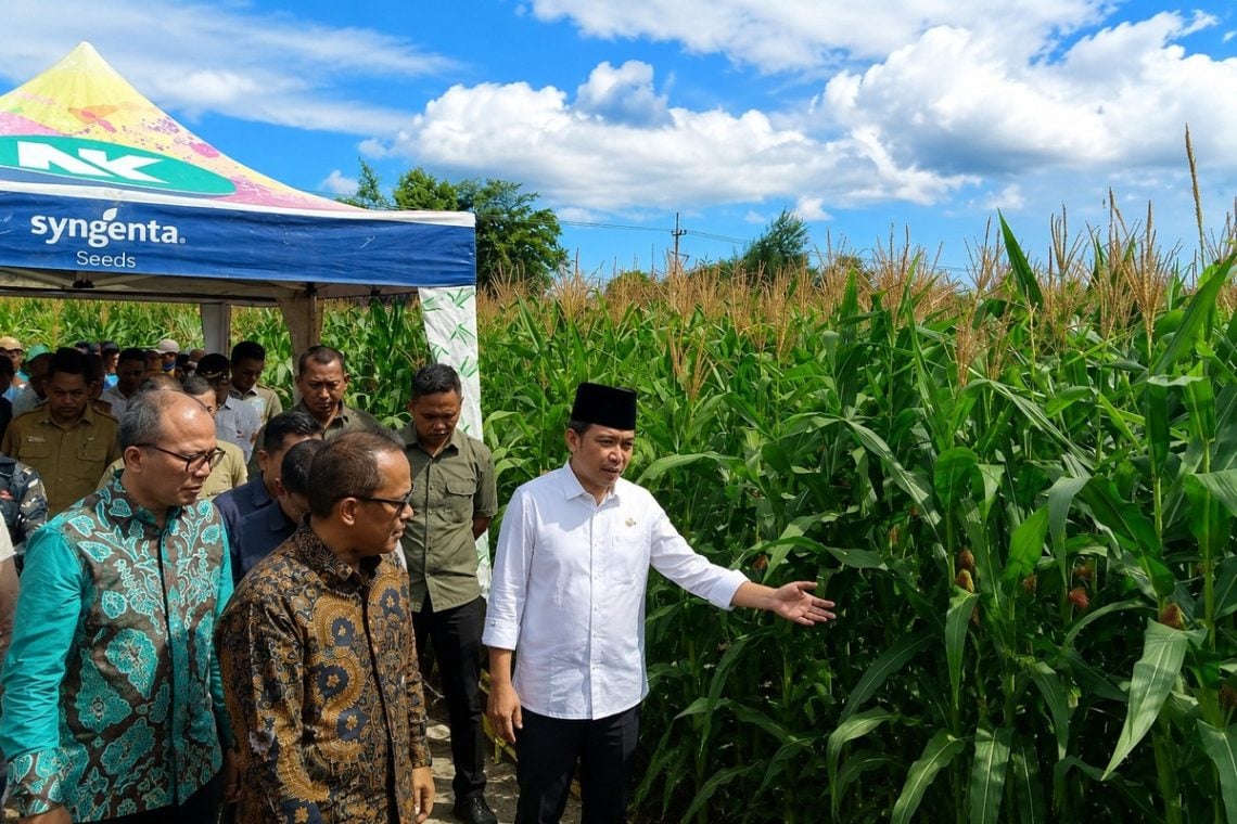 Gus Fawait: Anggaran Terbesar Pertanian Jember Capai Rp312 Miliar berkat Sinergi dengan Pemerintah Pusat 1 Gus Fawait.
