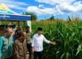 Gus Fawait: Anggaran Terbesar Pertanian Jember Capai Rp312 Miliar berkat Sinergi dengan Pemerintah Pusat 2 Gus Fawait.