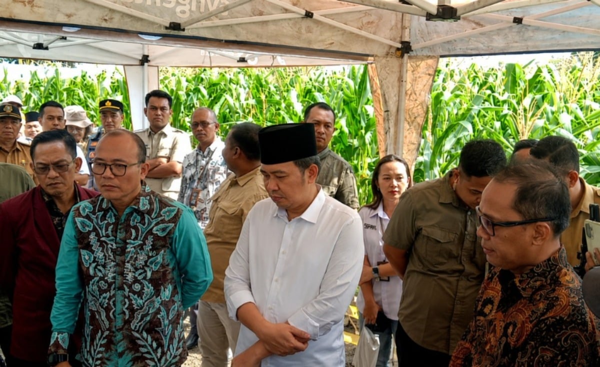 Gus Fawait: Anggaran Terbesar Pertanian Jember Capai Rp312 Miliar berkat Sinergi dengan Pemerintah Pusat 2 Gus Fawait pertanian Jember.
