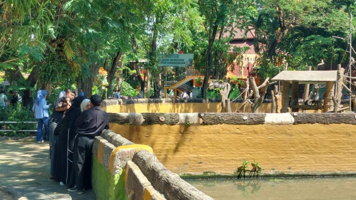 Eks Dirut KBS Ditahan Diduga Korupsi Pakan Satwa, Ini Respons Manajemen 1 KBS.