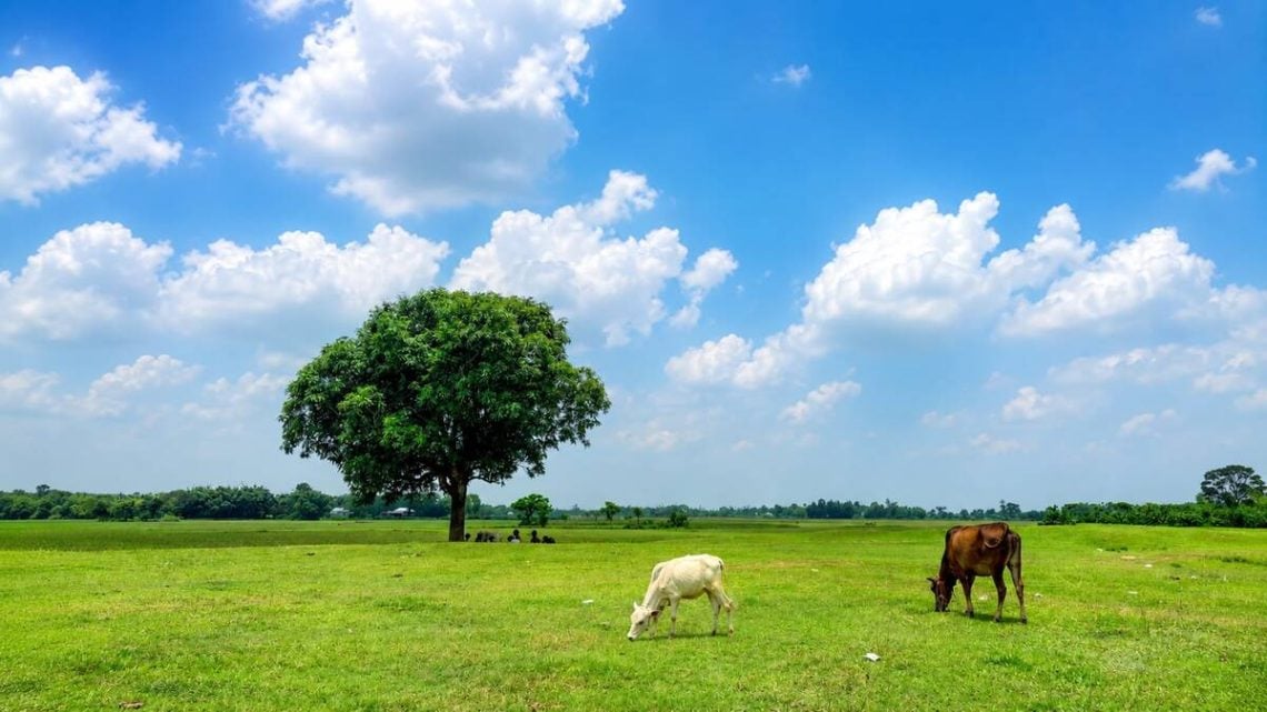Langit Cerah Dominasi Cuaca di Jawa Timur 23 Juli 2026, Waspadai Kabut dan Udara Kabur di Titik Rawan 1 Cuaca di Jawa Timur.