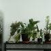 Cara Membuat Taman Rumah Kecil agar Tetap Asri 8 Taman rumah kecil.